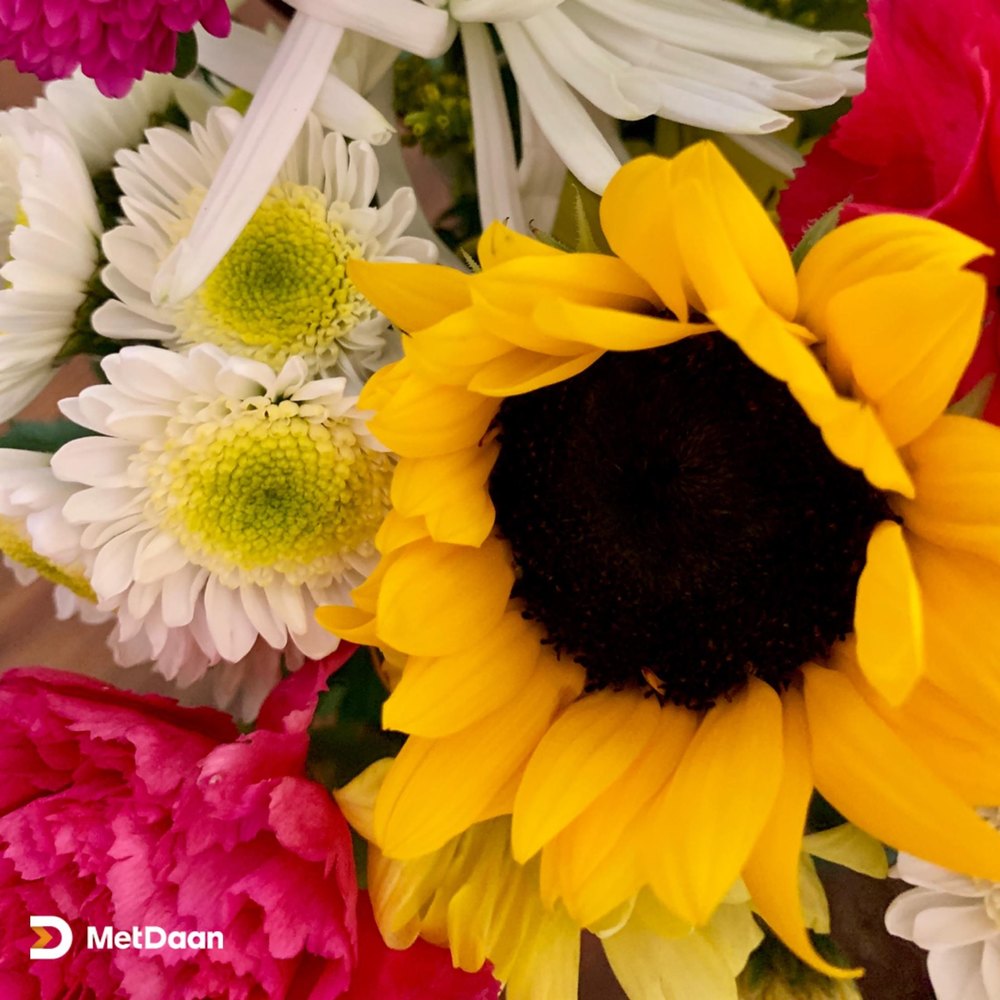 Meet your Posher, Leslie